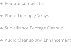 Remote Composites   Photo Line-ups/Arrays   Surveillance Footage Cleanup   Audio Cleanup and Enhancement